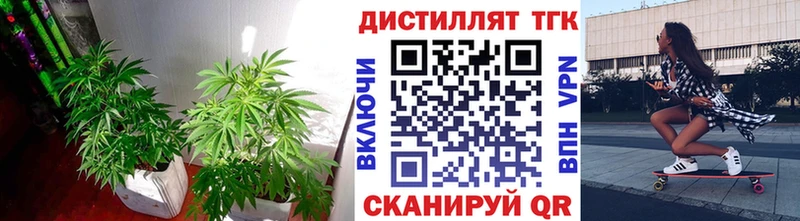 Дистиллят ТГК Wax Лаишево